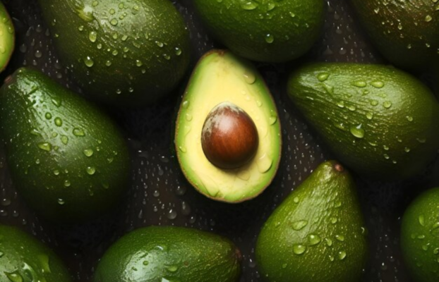 Asia receives fresh avocado, after 51 days of maritime journey in a reefer container