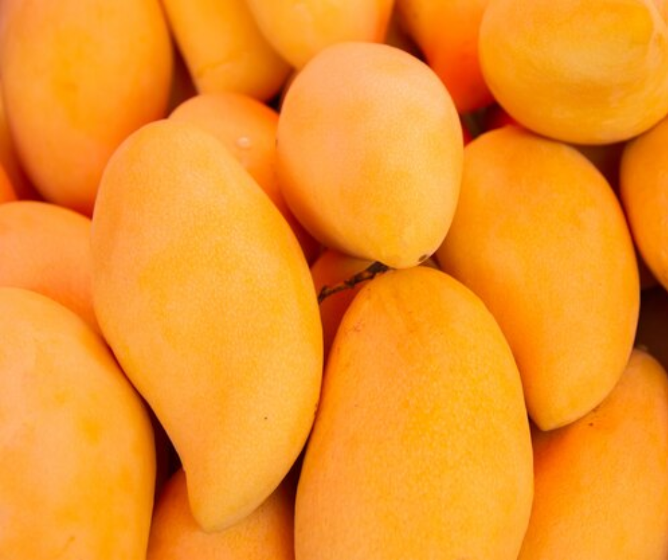 47 días en contenedor reefer y el mango llegó fresco a Hong Kong