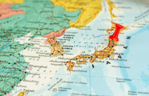 Aguacate llega fresco a Japón aún con 15 días de retraso.